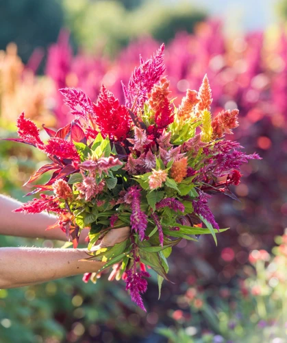 1. Die Richtige Auswahl Von Blumensamen