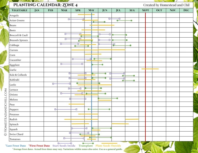 4. Anbauplanung Und Pflanzzeitpunkt