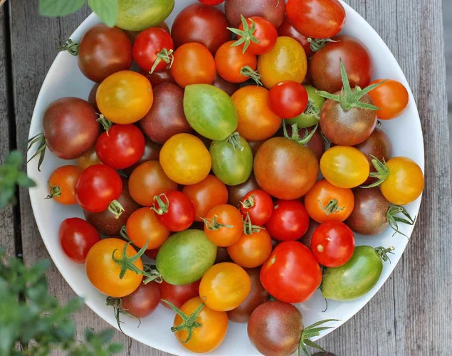 Die Richtigen Tomatensorten Auswählen