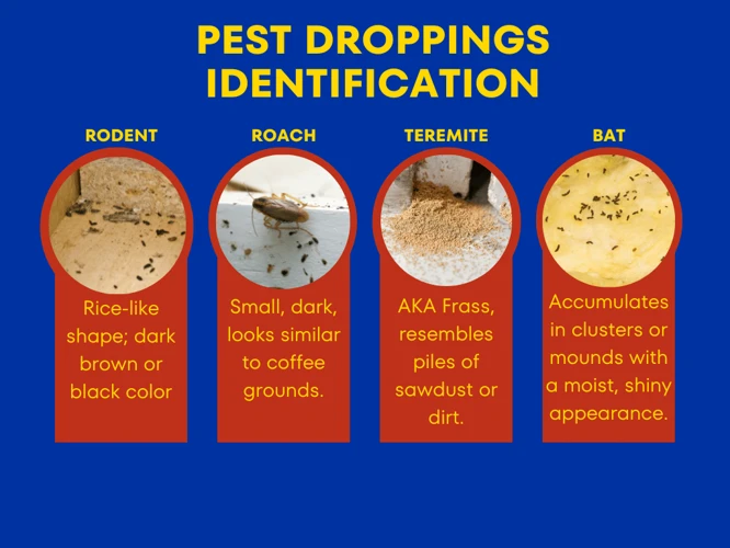 Schädlinge Identifizieren