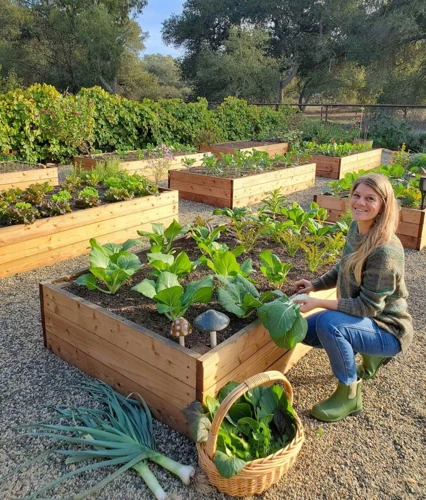 Die Vorbereitung Des Gartenbeets