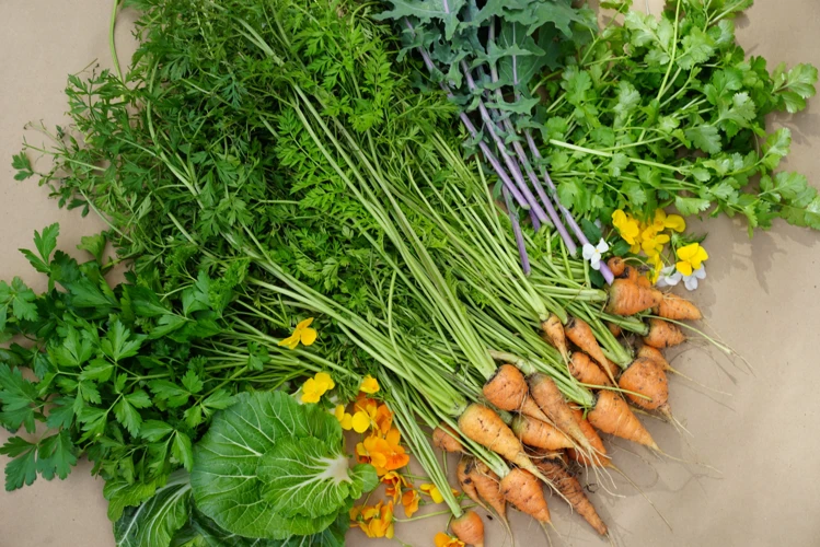 Die Besten Karotten-Nachbarn Für Ihren Heimwerker-Garten