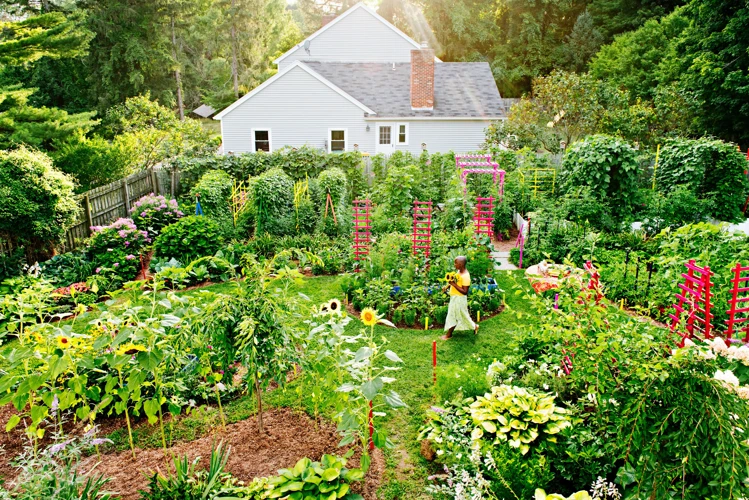 Tipps Für Die Natürliche Gartenpflege