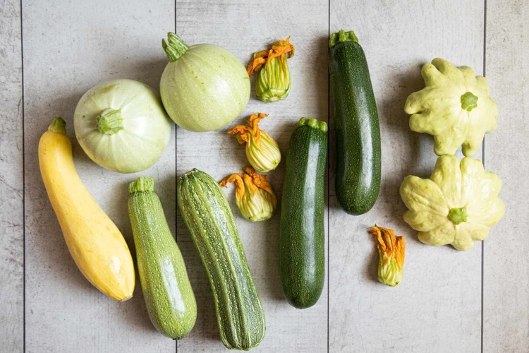 Vielfältige Zubereitungsmöglichkeiten Für Reife Zucchini